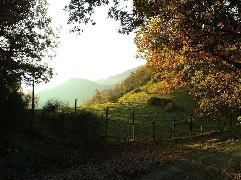 Agriturismo Orsaiola Urbania Luaran gambar
